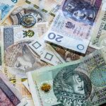 fixed income investment